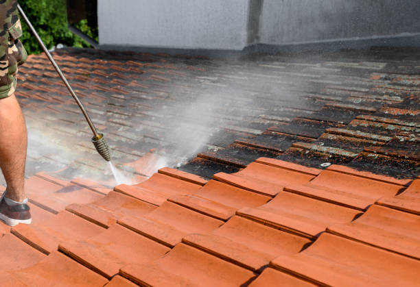 Best Pressure Washing Company Near Me  in Clifton, NJ