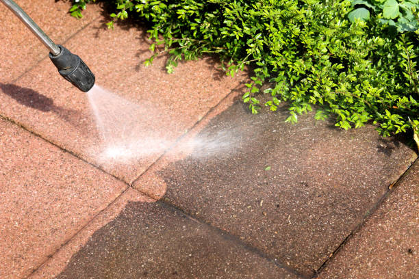 Best Pressure Washing Siding  in Clifton, NJ